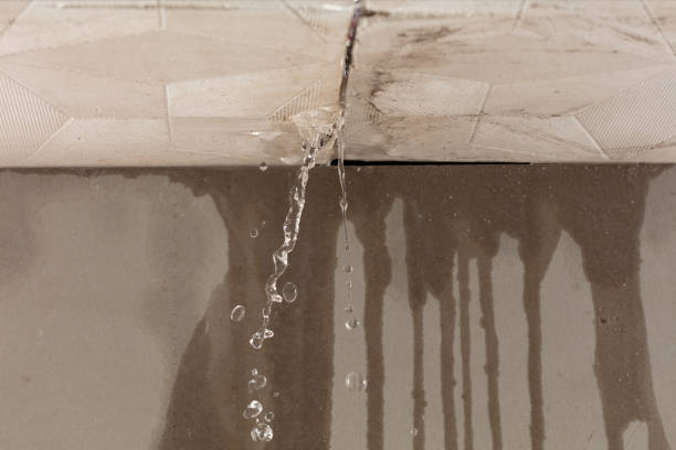 Professional Water Extraction technician working in Marine, IL